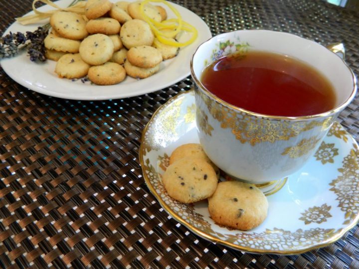 PEC Lavender Farm PEC Lavender Farm